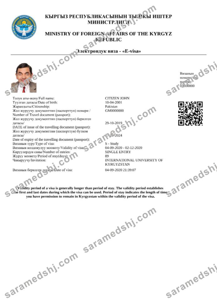 Kyrgystan e-visa in Word and PDF template